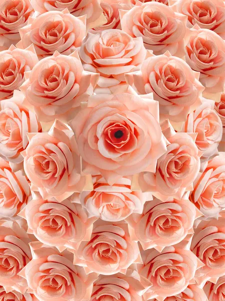 橙子和奶油玫瑰花朵堆叠的背景 — 图库照片