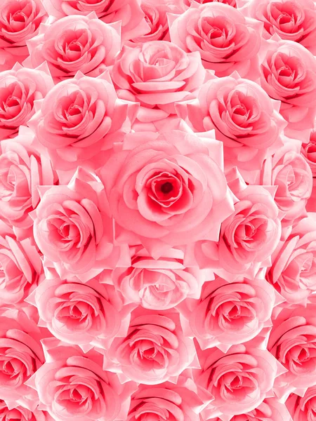 Różowe Róże Kwiat Ułożone Tło Natura Szablon Baner Wizytówka — Zdjęcie stockowe