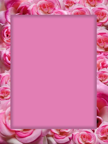 Quadrado Rosa Fundo Buquê Flores Rosa Violeta Natureza Objeto Decoração — Fotografia de Stock