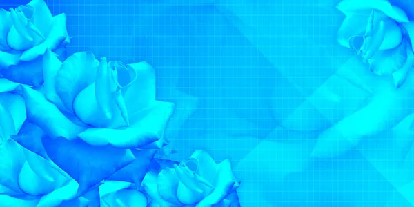 Szablon Niebieski Róż Kwiat Bukiet Niebieskim Tle Natura Baner Szablon — Zdjęcie stockowe
