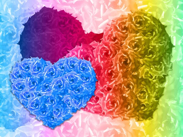 Beautiful Blue Roses Heart Shape Multicolored Roses Multicolored Roses Flower — Stock Photo, Image