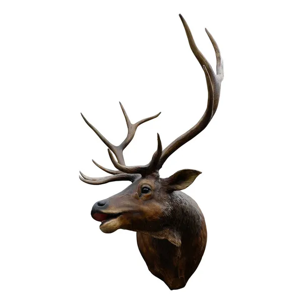 Closeup Brown Deer White Background Object Copy Space — Stock Photo, Image