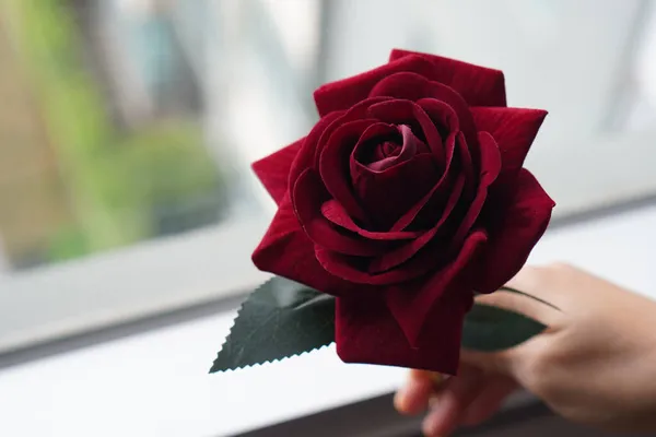 手を握っている赤いバラの背景愛バレンタインコピースペース — ストック写真