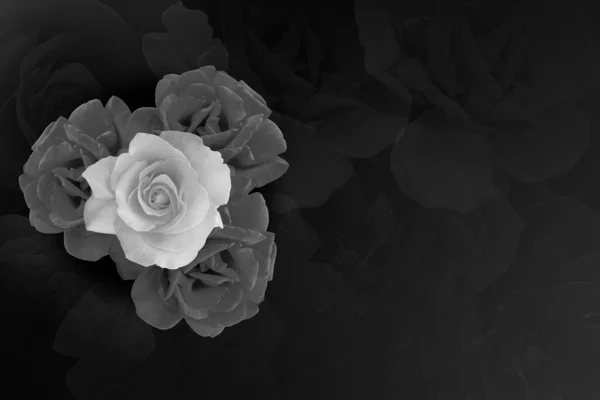 Schwarz Und Weiß Vier Rosenblütensträuße Auf Schwarzem Hintergrund Natur Kopierraum — Stockfoto