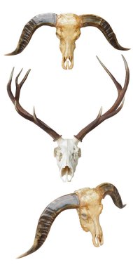  Beyaz arka planda üç boynuzlu hayvan, nesne, hayvan, vintage, retro