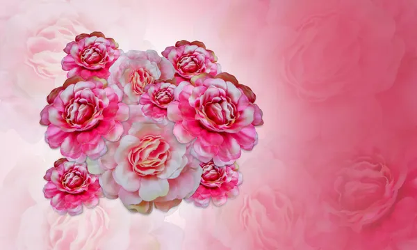 Όμορφο Ροζ Και Τριαντάφυλλο Λουλούδι Μπουκέτο Ροζ Φόντο Πανό Πρότυπο — Φωτογραφία Αρχείου
