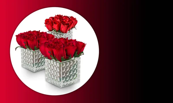赤と黒の背景に白い円の上にガラスの箱に3つの赤いバラの花の花束 コピースペース — ストック写真