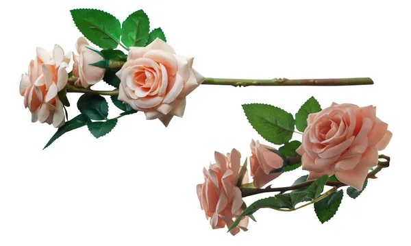 白を基調とした2つのオレンジのバラの花束自然物愛バレンタインヴィンテージ — ストック写真