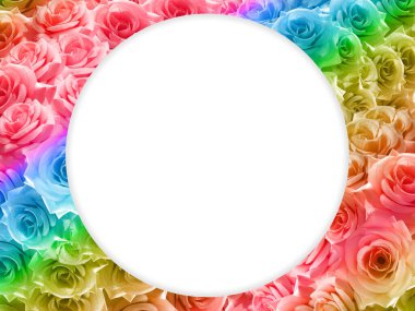 Gökkuşağı gülleri üzerinde büyük beyaz daire arka plan, doğa, bayrak, şablon, broşür, ağ