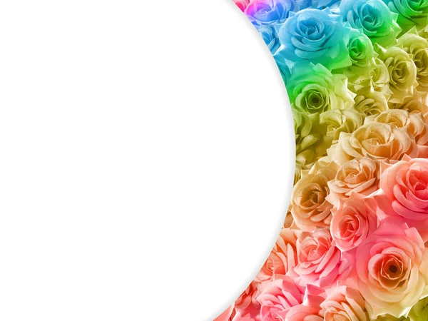 Белый Узор Радужных Розах Цветовой Фон Природа Баннер Шаблон Брошюра — стоковое фото