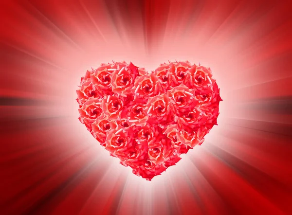 Büyük Kırmızı Kalp Şeklinde Güller Pembe Işıkta Lazer Kırmızısı Arka — Stok fotoğraf