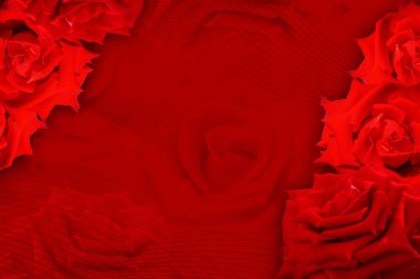 Gül buketi, sol üst köşe ve sağ alt köşe kırmızı gül arka plan, doğa, pankart, isim kartı