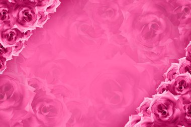 Pembe güller üst sol ve sağ köşelere yerleştirilir. Bulanık pembe güller arka plan, şablon, pankart, isim kartı, kopyalama alanı