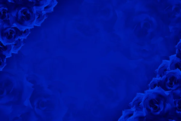 Bellissime Rose Blu Fiore Alto Sinistra Basso Destra Sfocatura Blu — Foto Stock