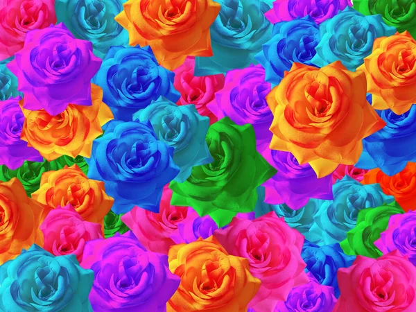 Hermoso Multicolor Rosas Flores Ramo Fondo Bandera Plantilla Tarjeta Nombre — Foto de Stock