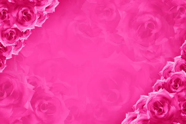 Beautiful Pink Roses Flower Top Left Bottom Right Corners Blur — Stock Photo, Image