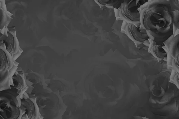 Schwarze Und Weiße Rosen Blumenstrauß Hintergrund Banner Vorlage Visitenkarte Dekor — Stockfoto
