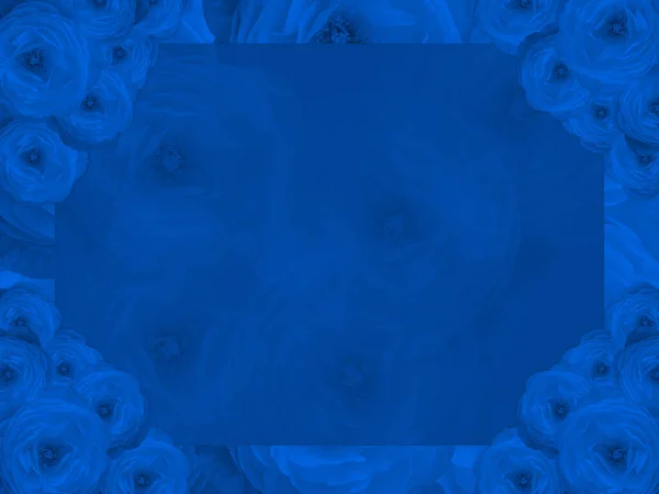 蓝色玫瑰花束四角 蓝色正方形背景上的蓝色玫瑰模糊 复制空间 — 图库照片