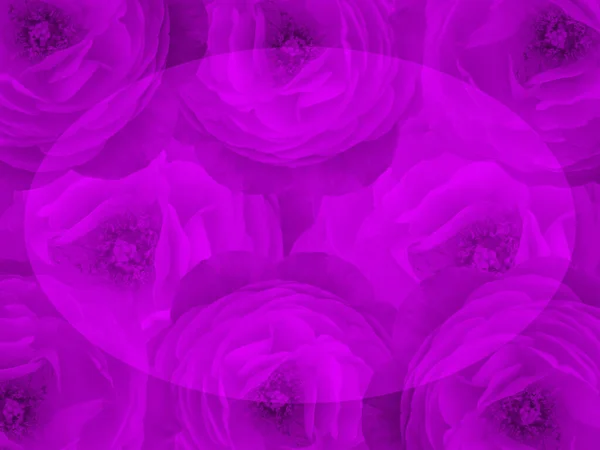 Ovale Sfocatura Posto Viola Rose Bouquet Fiori Sfondo Banner Modello — Foto Stock