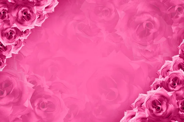 ピンクのバラの花は ぼかしピンクのバラの花の背景 テンプレート バナー 名前カード コピースペースの左上隅と右下隅に配置されます — ストック写真