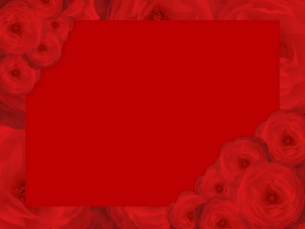 Kırmızı Güller Çiçek Buketi Üst Sol Alt Köşeler Kırmızı Kare — Stok fotoğraf