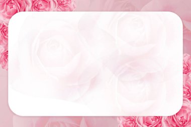 Görüntü beyaz köşeli dikdörtgen pembe ve kırmızı güller arka plan, doğa, isim kartı, pankart, şablon, dekor, kopyalama alanı