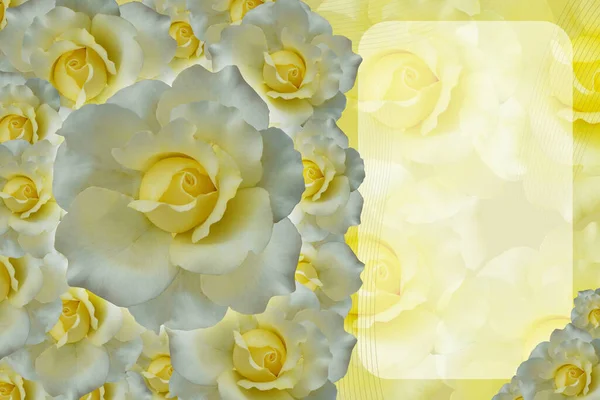 Left Yellow Rose Flowers Bouquet Blur Curved Corner Rectangle Blur — Stockfoto