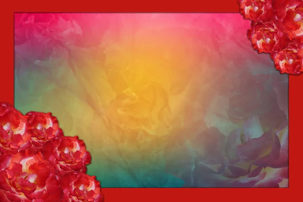 Red Roses Top Right Bottom Left Red Frame Abstract Blur — Stock Photo, Image