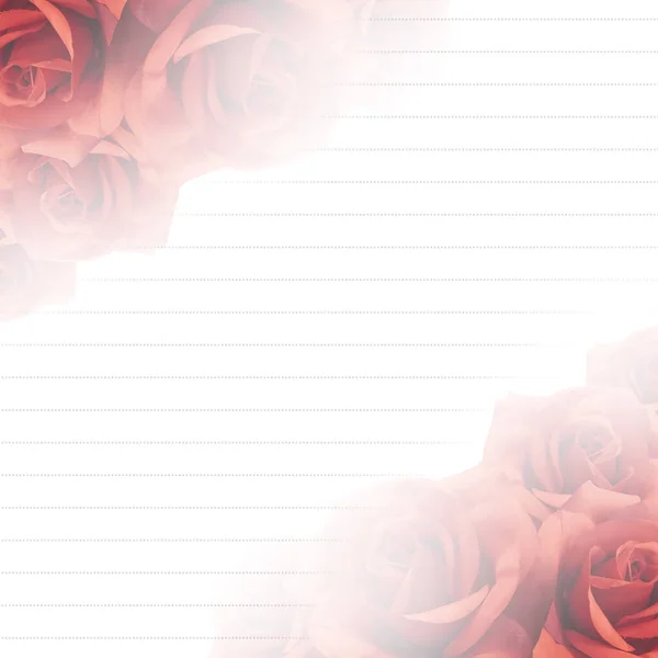 grey line on blur pink roses flowers on the left and on the right frame on white background, nature, template, banner, decor, copy space