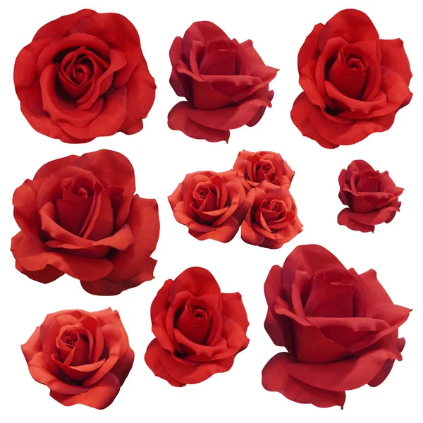 Nine Red Rose Flowers White Background Nature Valentine Decor Love — Photo