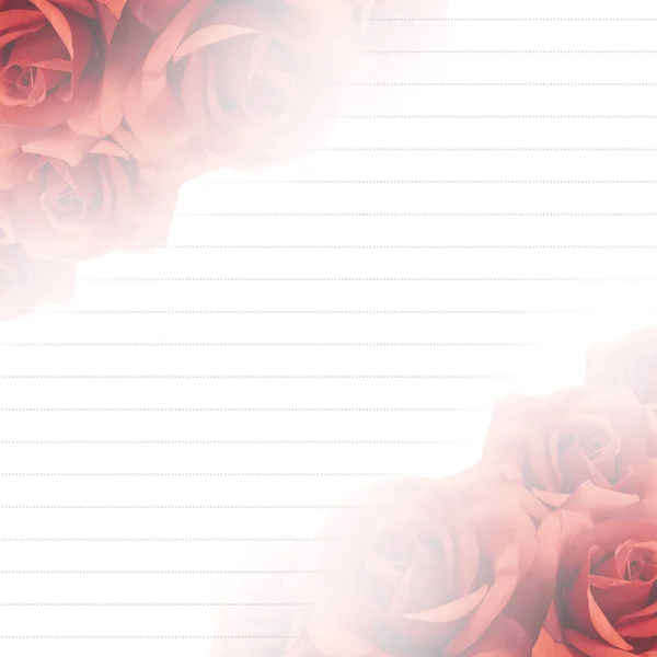 Сіра Лінія Розмитій Рожевій Троянді Квіти Ліворуч Праворуч Білому Тлі Стокова Картинка