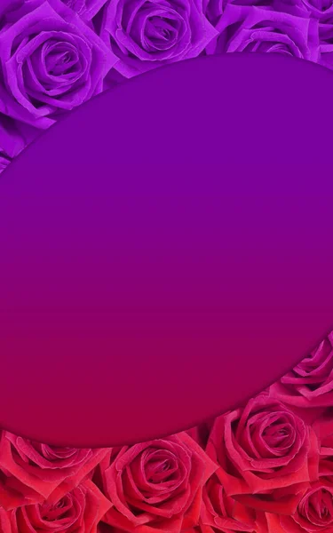 Marco Ovalado Dos Colores Púrpura Azul Apilados Sobre Rosas Flor — Foto de Stock