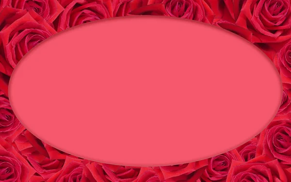 Vermelho Oval Rosas Vermelhas Buquê Flores Fundo Banner Modelo Natureza — Fotografia de Stock