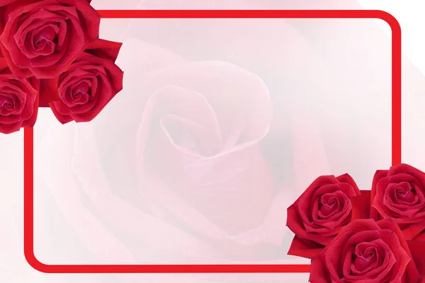 6つの赤いバラの花の上に赤いフレームの上にぼかしのバラの花の背景 バナー テンプレート コピースペース — ストック写真
