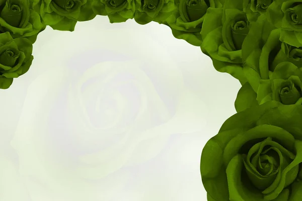 Çeşitli Boyutlarda Taze Yeşil Güller Tepeden Tırnağa Istiflenmiş Büyük Bulanık — Stok fotoğraf