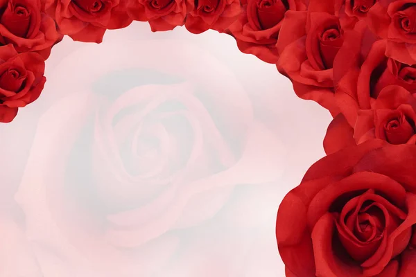 様々な大きさの赤いバラが上から下に積み上げられ大きな赤いバラの背景自然物バナーコピースペース — ストック写真