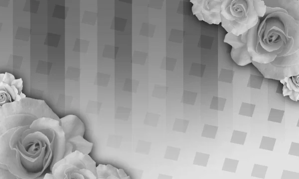 black and white rose flower bouquet on abstract background, nature, template, banner, copy space
