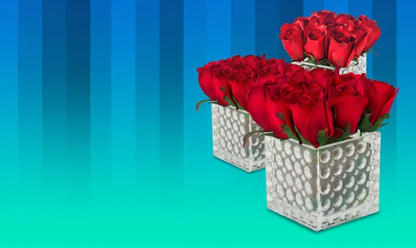 三个红色玫瑰花束在三个透明的塑料正方形花瓶中 蓝色和绿色背景 情人节 复制空间 — 图库照片