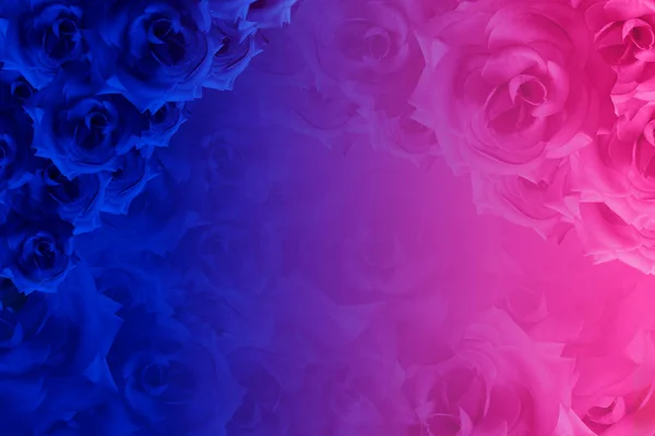Rosa Azul Flor Empilhada Canto Superior Esquerdo Flor Rosas Borrão — Fotografia de Stock