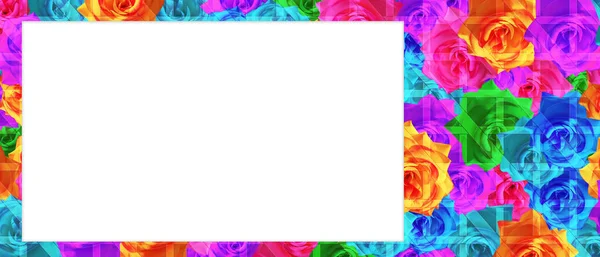 色彩艳丽的玫瑰背景 模板上的白色矩形 — 图库照片