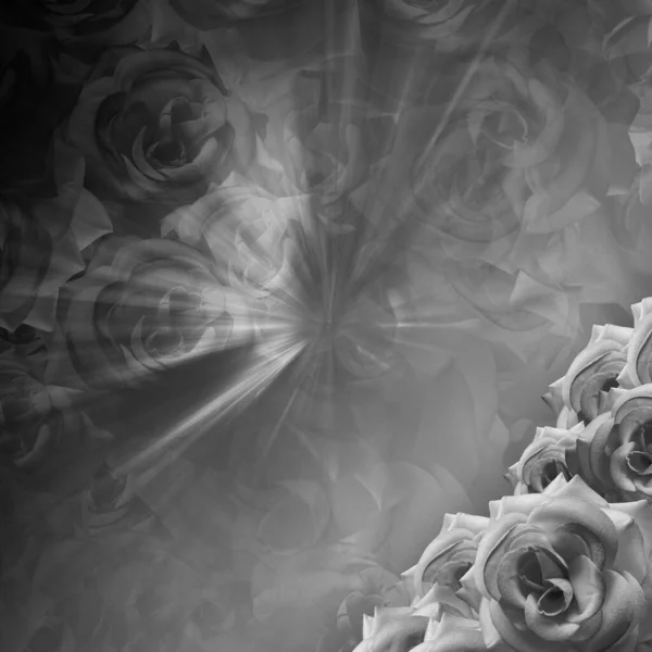 Fekete Fehér Elmosódott Rózsa Virágok Sebesség Gradiens Fekete Szürke Háttér — Stock Fotó