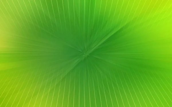 緑の背景 バナー コピー テクスチャ上のブラーラインレーザー — ストック写真