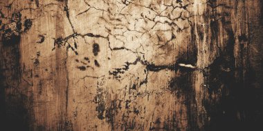 Korku ve korkunç çimento. Duvarlar leke ve çiziklerle dolu..