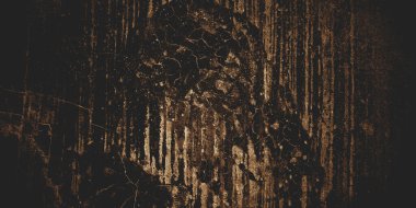 Eski beton arka plan, altın rengi kahverengi beton arka plan için lifli..