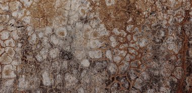 Eski çimento korkunç arka plan. grunge dokusu beton