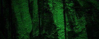 Arka plan için koyu yeşil çimento dokusu. Korkunç çimento