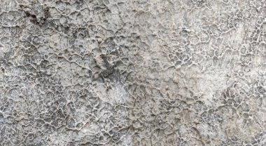 Gri beton duvar dokusu, beyaz alçılı duvar dokusu veya arka plan, dağınık sokak duvarı.