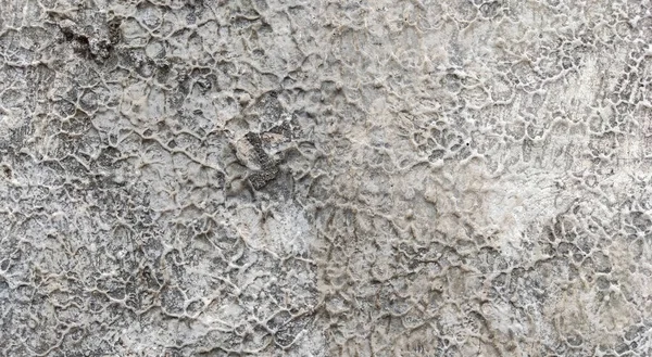 Gri beton duvar dokusu, beyaz alçılı duvar dokusu veya arka plan, dağınık sokak duvarı.