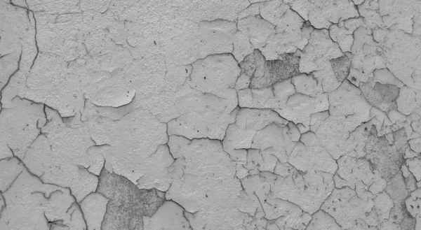 Grijs Leeg Beton Muur Textuur Wit Gepleisterde Muur Textuur Achtergrond — Stockfoto