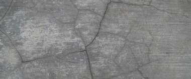 Duvarın eski dokusu, bağbozumu ya da duvar pasaklısı